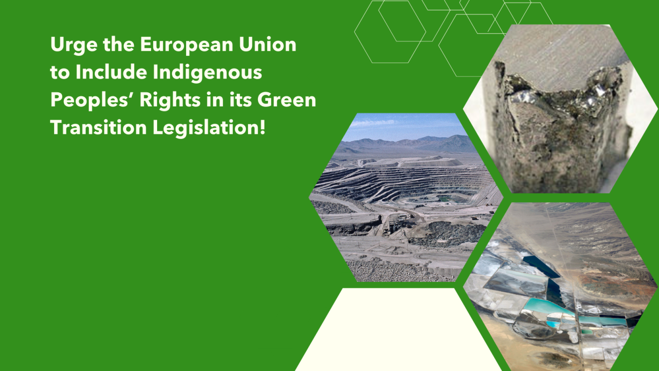 Urge The European Union To Include Indigenous Peoples’ Rights In Its ...